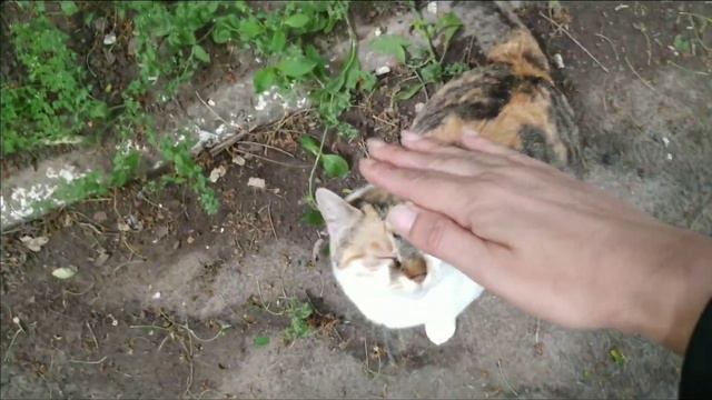 Выкручиваюсь как могу))) Одесса сегодня 18 мая. Обстановка. Odessa. Одеса. смотреть онлайн