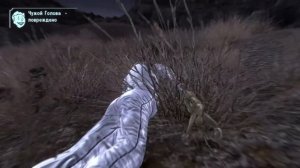 Где найти Бластер чужих в Fallout  New Vegas