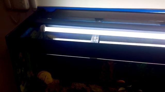 Аквариум Juwel смотреть онлайн