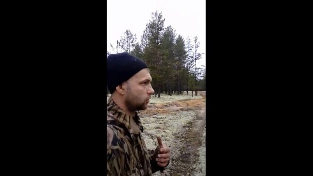 Тайга 4х4 за "белыми" грибами часть 2. смотреть онлайн