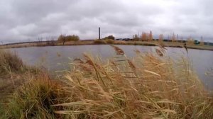 Спиннинг на пруду. Соревнования по ловле спиннингом с берега |  Часть 1