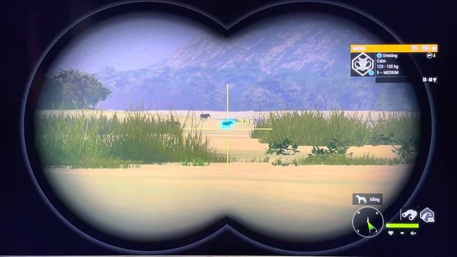 The Hunter SK Vurhonga Savanna Diviak DIA смотреть онлайн