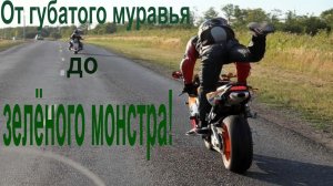 "Как ты докатился до жизни такой? " Виталий Якуба. От губатого муравья - до зелёного монстра!