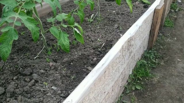 Деревенские будни. Делаю узкую поднятую грядку из досок. ВЛОГ. смотреть онлайн