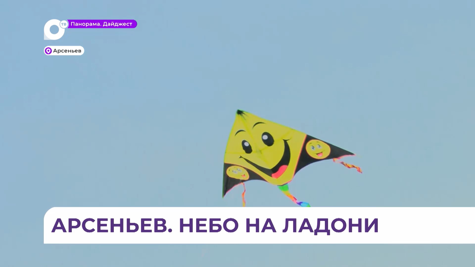 Фестиваль воздушных змеев в Арсеньеве посетили 15 тысяч человек