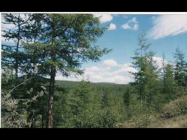 КАДЫКЧАН (слайд-шоу) - группа 