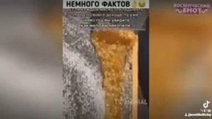 Улётное видео Смотреть всем