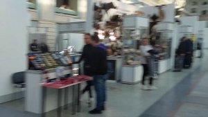 ВЫСТАВКА ОРЁЛ ЭКСПО.  СТОИТ ПОСЕЩАТЬ ИЛИ НЕТ ?????