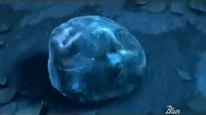 Смешной мультфильм про аборигенов