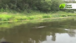 Реки Подмосковья. Река Цна в Егорьевском районе Московской области.