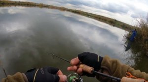 Trout Area fishing ? 09/2020 Ловля прудовой форели на домашнем водоёме ( металоплощадка )