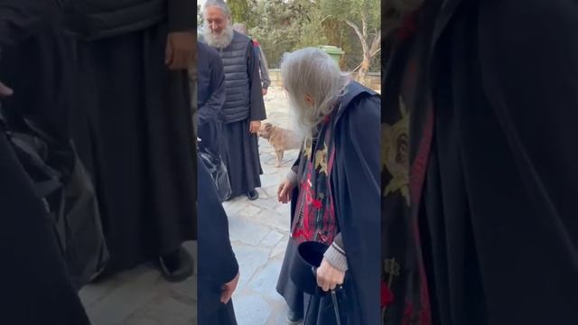 Схиархимандрит Илий на Афоне. смотреть онлайн