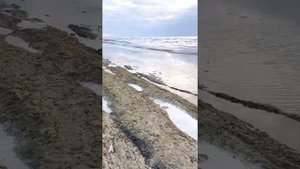 Как мелеет Каспий