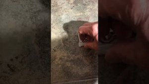 Bosch Dishwasher Error Message E14