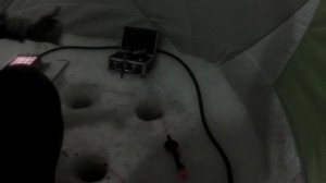 Хороший улов карася на Чанах
