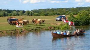 Лошади окупировали отдыхающих и... ладья