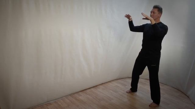 Тайцзи Чень – 19 форм. Урок первый. смотреть онлайн