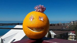 Апельсец поздравляет! С днем рожденья,  ПАВЕЛ!