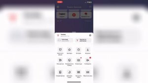 Как очистить историю в Яндекс браузере на Айфоне ?