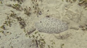 Путешествие по Филиппинам. Себу - Бохол - Палаван.