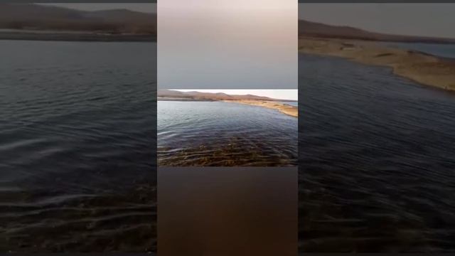 Рыбалка в Максимовке. Рыбалка в Приморье. Хороший улов. #рыбалка #рыбалкавприморье #максимовка