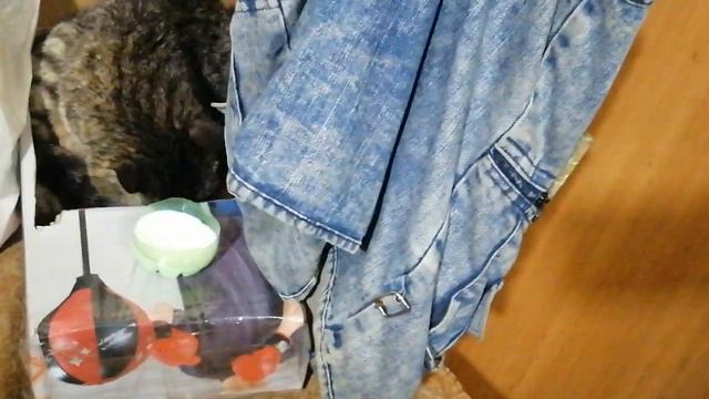 29.04.23.(4серия)Нашлась Мама кошка,теперь точно все будет хорошо! смотреть онлайн