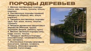 Орнамент типа "Кудринка" и пару советов для начинающих резчиков.