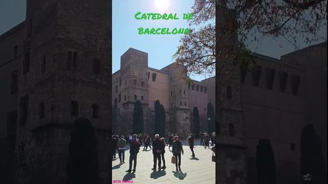 Catedral de Barcelona - Walking Barcelona #barcelona #walkingbarcelona #bcn #catedraldebarcelona