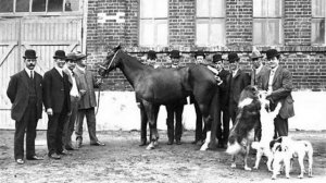 История орловского рысака. Орловцы и американцы. Противостояние