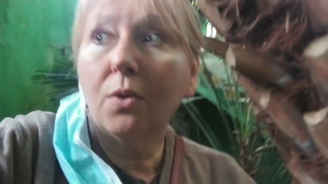 КАК ОТДОХНУТЬ В БОТАНИЧЕСКОМ САДУ ОСЕНЬЮ #uzbekistantravel#ботаническийсад#tashkent