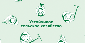 Устойчивое развитие ADAMA