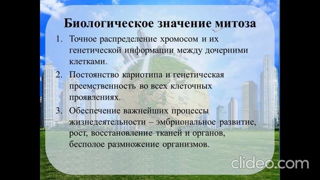 Митоз. Мейоз. Биологическое значение митоза и мейоза.