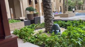 Пляжный отдых в ОАЭ. Sheraton sharjah в мельчайших подробностях