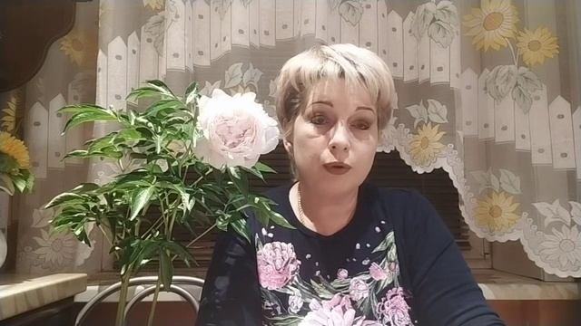 Как сохранить пион до высадки в открытый грунт. Пион Сара Бернар.