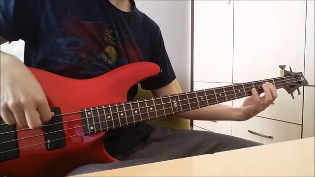 mor ve ötesi - Kış Geliyor (Bass Cover) смотреть онлайн