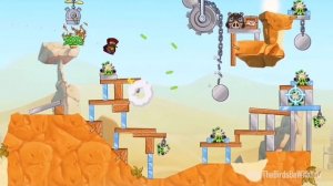 Всё о Чаке: характер, появления, способности - Факты Angry Birds