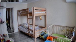 Разница в поведении детей с Миникошкой и Диллероном