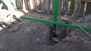 Кругом ОДНИ 🐐 ПОМОЩНИКИ 🐷. 🔨 Построила 🪚 НОВЫЙ ЗАБОР 😃