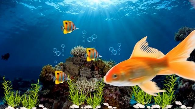 Веселая история про рыбалку и золотую рыбку. Видео для детей смотреть онлайн