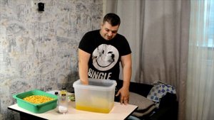 Лучшая кукуруза для карпа и амура своими руками. Ферментированная кукуруза.