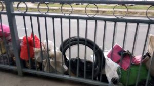 Блошиные рынки Екатеринбурга.