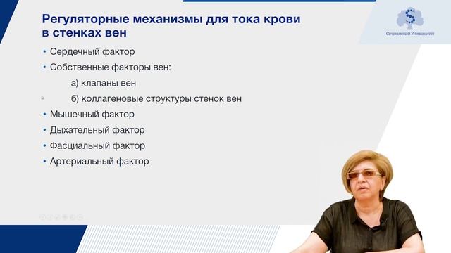 Функциональная анатомия венозной системы. Особенности кровообращения плода