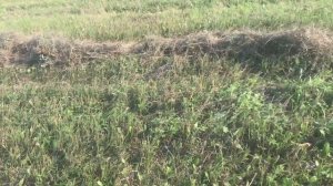 сенокос 2023!что надо делать если рулон в прессе не крутится или не выбрасывает рулон!