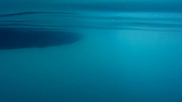 Крым 2017. Алушта. Провал сезона 2017?Морская рыбалка с катера, 6 утра. смотреть онлайн