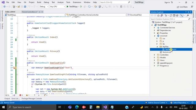 Asp.net Core 6: Download File From wwwroot | Asp.net Core MVC