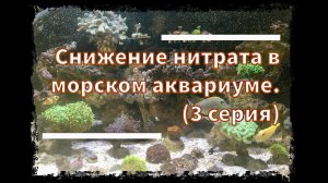 Снижение нитрата в морском аквариуме (3 сери) / Не совсем стандартный метод (эксперимент)