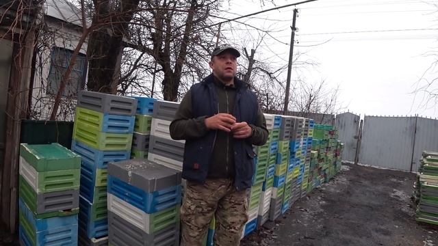 Отличие "чистопородной матки" от "племенной матки" смотреть онлайн