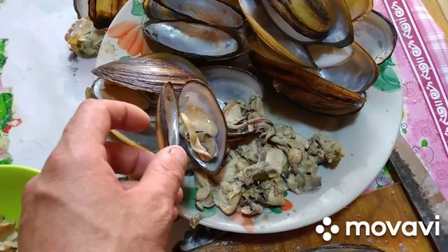 Салат из речных медий (ракушка) смотреть онлайн