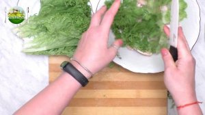 Новогодний салат с грушей и курицей «Красотка»
