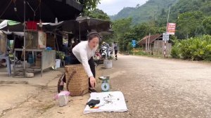 Harvesting Longan Bring to the market to sell - Cooking - Vàng Hoa
